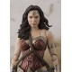 Figurine DC Comics - Justice League - Wonder Woman S.H.Figuarts 14 cm