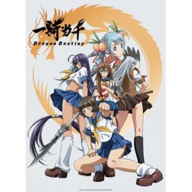 Poster - Ikki Tousen "Girls Group" 52x38cm