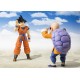 Figurine Dragon Ball Z - Kame-Sennin (Tortue Géniale) S.H.Figuarts 14cm