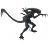 Figurine Alien - Alien SSS Premium 26cm