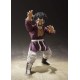 Figurine Dragon Ball - Mr. Satan / Hercules S.H.Figuarts 15cm