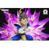 Précommande Dragon Ball Z - Vegeta Galick Gun HQS By Tsume