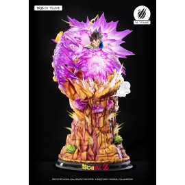 Précommande Dragon Ball Z - Vegeta Galick Gun HQS By Tsume