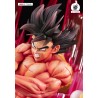Précommande Dragon Ball Z - Goku Kaio-ken HQS By Tsume