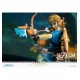 Figurine The Legend of Zelda Breath of the Wild - LINK COLLECTOR'S Edition 25 cm