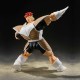 Figurine Dragon Ball Z - Recoome S.H.Figuarts 20cm