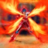 Figurine Saint Seiya - Saint Cloth Myth Sky Steel Cloth Sho Revival