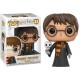 Figurine Harry Potter - Harry Potter With Hedwige Limited Pop 10cm