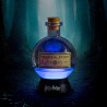 Lampe Harry Potter - Lampe d´ambiance Polynectar 20cm