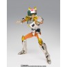 Figurine Saint Seiya - Saint Cloth Myth Landcloth Steel Cloth Daichi Revival