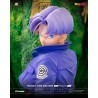 Statue Trunk's Time Machine HQS Dioramax 1/6 by Tsume Statue Trunk's Time Machine HQS Dioramax 1/6 by Tsume