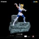 Statue Saint Seiya - Cygnus HQS+ by Tsume