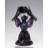Figurine Saint Seiya Myth Cloth EX Aquarius Camus Surplice 20th Revival