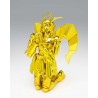 Figurine Saint Seiya - Virgo Shun - Inheritor of the Gold Cloth - Myth Cloth Ex Metal