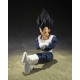 Figurine Dragon Ball Z - Vegeta Old Battle Clothes S.H.Figuarts