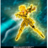 Figurine Saint Seiya - Aquarius Hyoga Inheritor of the Gold Cloth Myth Cloth EX
