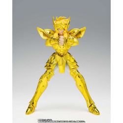 Figurine Saint Seiya - Aquarius Hyoga Inheritor of the Gold Cloth Myth Cloth EX