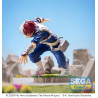 Figurine My Hero Academia : You´re Next - Shoto Todoroki Xross Link Anime 12cm
